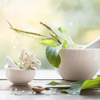 PHYTOTHÉRAPIE ET MAUX QUOTIDIENS